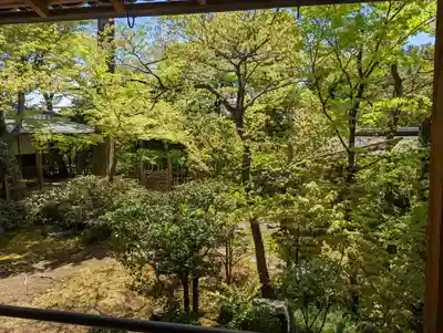 大法院(京都府)