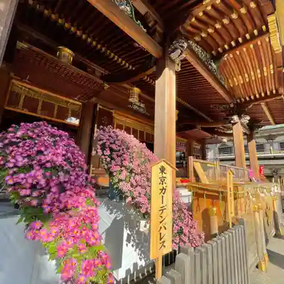 湯島天満宮の本殿・本堂