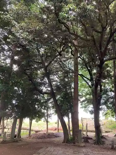 雀神社(茨城県)