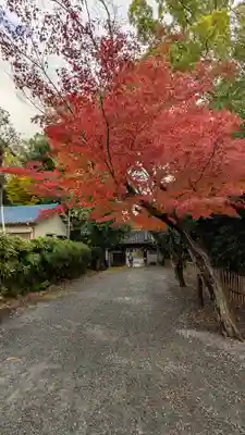水無瀬神宮(大阪府)