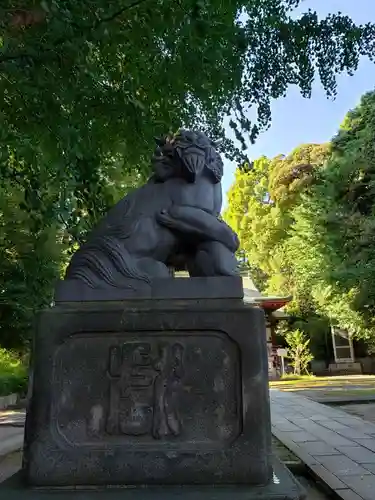 中野氷川神社の狛犬