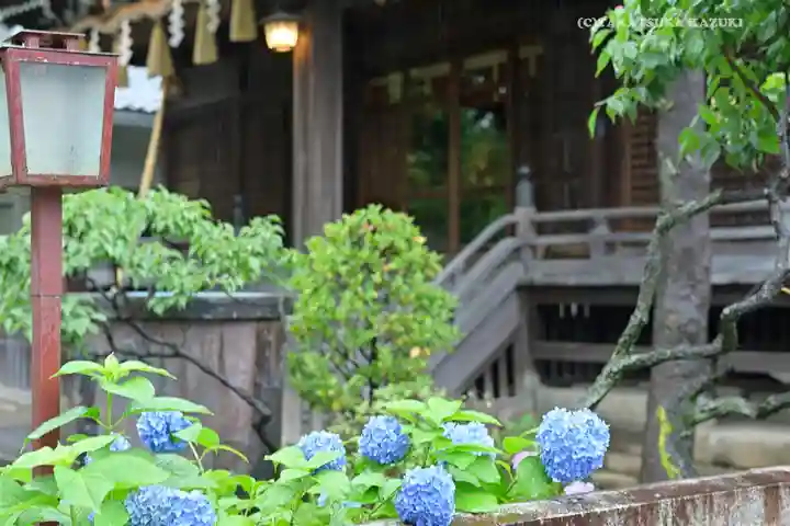 白山神社のその他建物