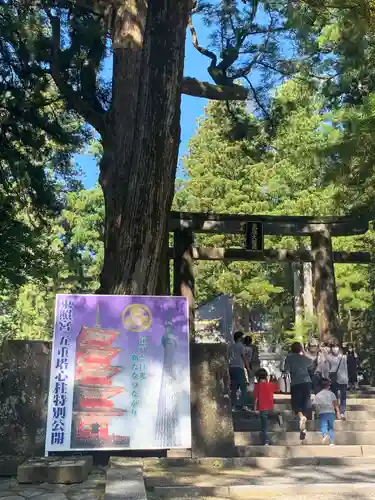 日光東照宮の鳥居