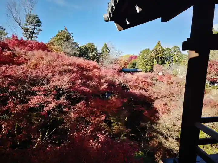 東福禅寺(東福寺)(京都府)