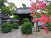 西生寺の自然