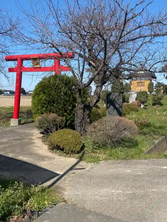 香取神社の自然