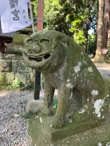 間々田八幡宮の狛犬