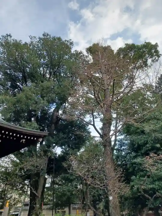 布多天神社の自然