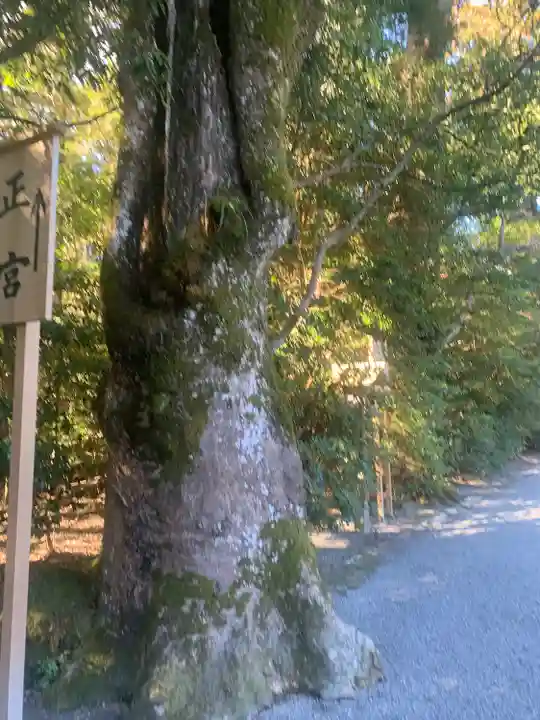 伊勢神宮外宮(豊受大神宮)(三重県)