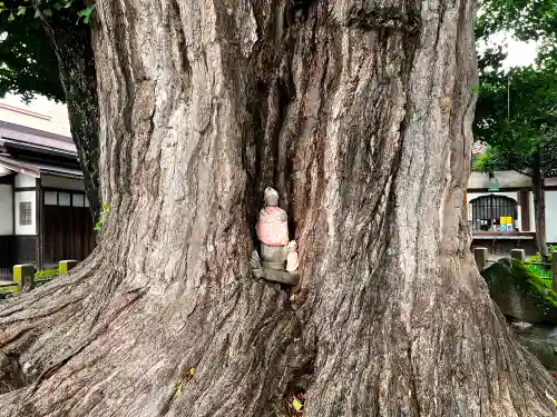 飛騨国分寺(岐阜県)