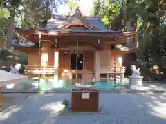 須山浅間神社の本殿