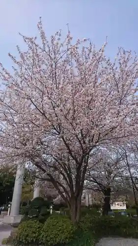 櫻木神社のその他建物