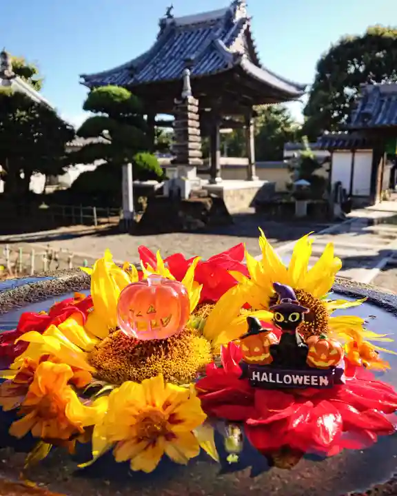 真言宗 善通寺派 薬王寺の手水舎