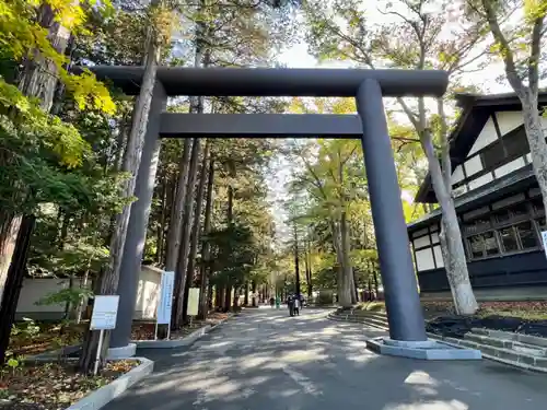 北海道神宮の鳥居