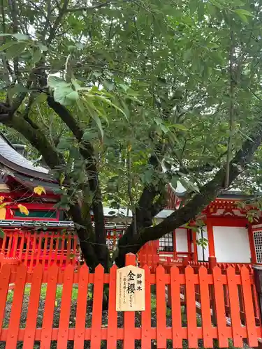 金櫻神社の自然