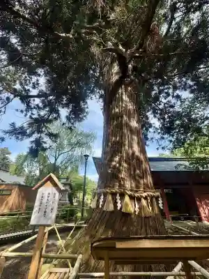 志波彦神社・鹽竈神社の{uncategorized: "未分類", other: "その他", undefined: "問題あり", building: "その他建物", grave: "お墓", sacred_gate: "鳥居", guardian: "狛犬", statue: "像", buddha: "仏像", history: "歴史", nature: "自然", garden: "庭園", animal: "動物", pagoda: "塔", temizu: "手水舎", mountain_gate: "山門・神門", sanctuary: "本殿・本堂", subordinate: "末社・摂社", art: "芸術", scenery: "景色", jizo: "地蔵", ema: "絵馬", goshuin: "御朱印", omikuji: "おみくじ", items: "授与品その他", amulet: "お守り", goshuincho: "御朱印帳", eats: "食事", festival: "お祭り", votive_dance: "神楽", shichigosan: "七五三参", wedding: "結婚式", experience: "体験その他", initially: "初詣", around: "周辺", anti_infection: "感染症対策"}