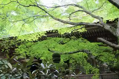 室生寺のその他建物