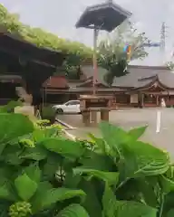 尾張大國霊神社（国府宮）の自然