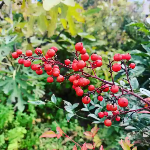 豊景神社の自然