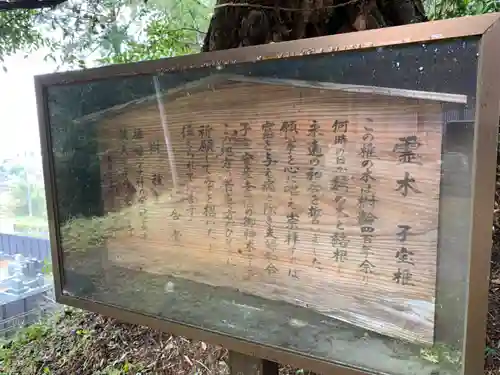 八幡神社の歴史