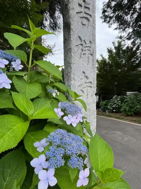 吉祥寺(埼玉県)