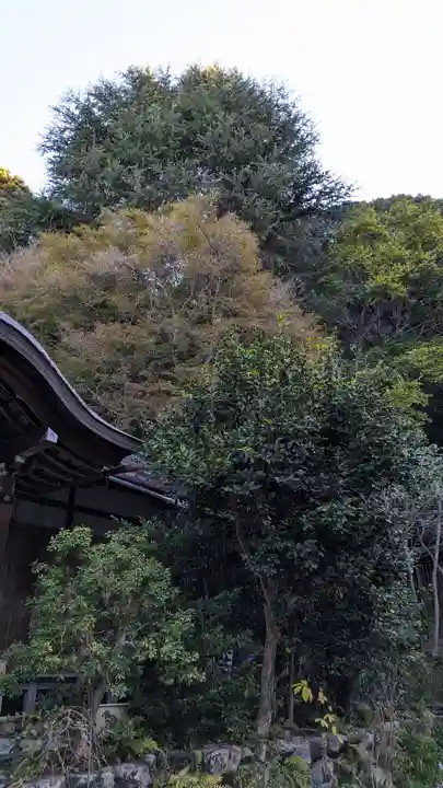 大豊神社(京都府)