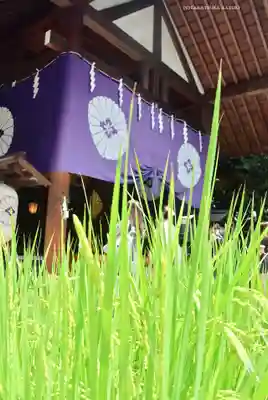 東京大神宮(東京都)