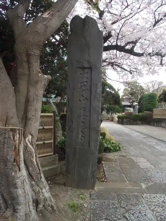 真光寺(神奈川県)