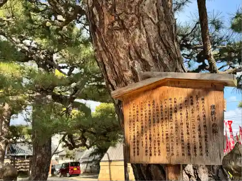 葛井寺(大阪府)