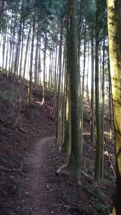 丹生都比売神社の周辺