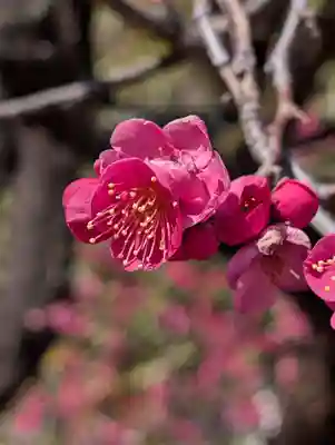 金藏院(神奈川県)
