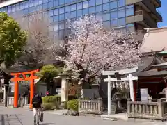 神田神社（神田明神）の鳥居