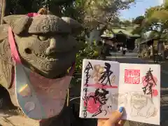 菊田神社の狛犬