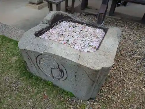 松應寺の手水舎