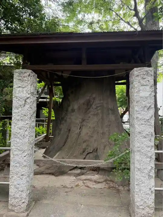 丸子山王日枝神社(神奈川県)