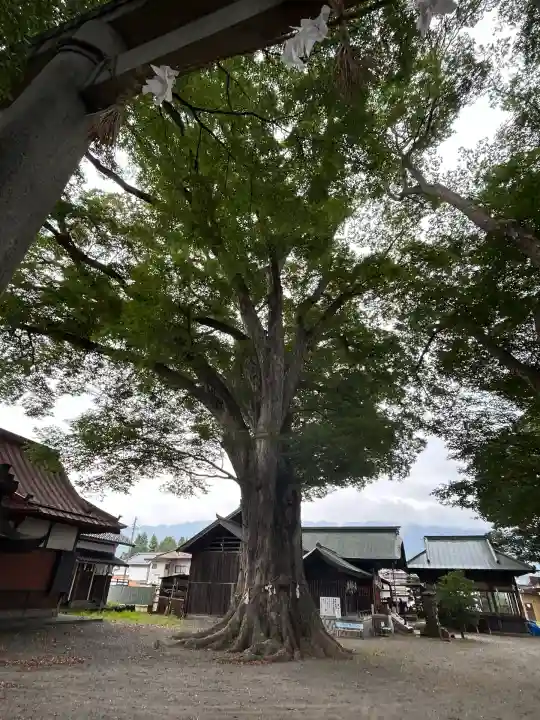 箕輪南宮神社(春宮)(長野県)
