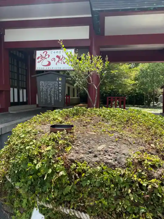 篠崎八幡神社(福岡県)