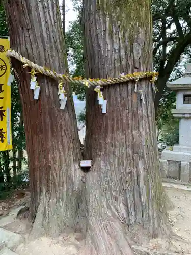 聖神社の自然