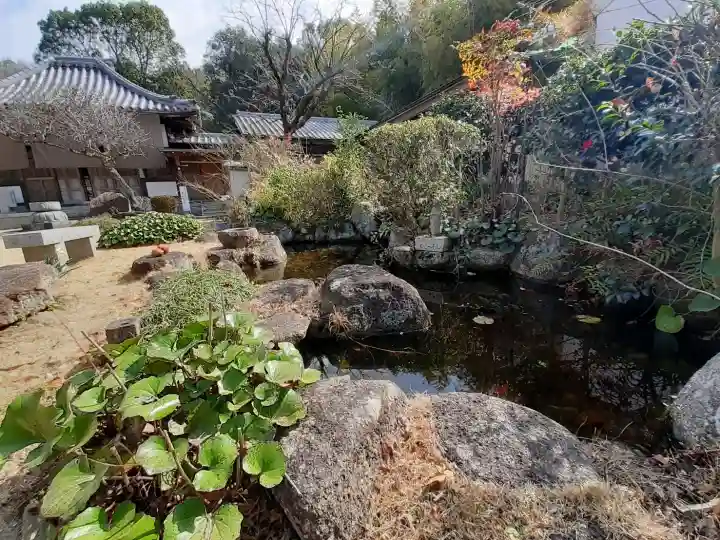 梅岩寺の{uncategorized: "未分類", other: "その他", undefined: "問題あり", building: "その他建物", grave: "お墓", sacred_gate: "鳥居", guardian: "狛犬", statue: "像", buddha: "仏像", history: "歴史", nature: "自然", garden: "庭園", animal: "動物", pagoda: "塔", temizu: "手水舎", mountain_gate: "山門・神門", sanctuary: "本殿・本堂", subordinate: "末社・摂社", art: "芸術", scenery: "景色", jizo: "地蔵", ema: "絵馬", goshuin: "御朱印", omikuji: "おみくじ", items: "授与品その他", amulet: "お守り", goshuincho: "御朱印帳", eats: "食事", festival: "お祭り", votive_dance: "神楽", shichigosan: "七五三参", wedding: "結婚式", experience: "体験その他", initially: "初詣", around: "周辺", anti_infection: "感染症対策"}