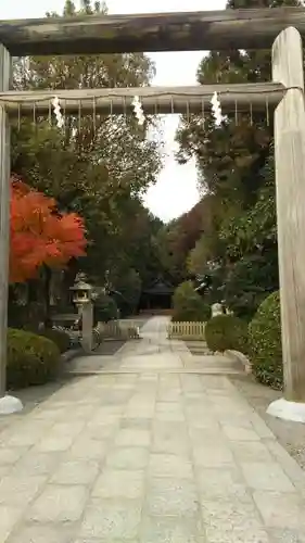 木嶋坐天照御魂神社の鳥居