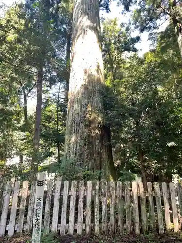 天鷹神社(岐阜県)