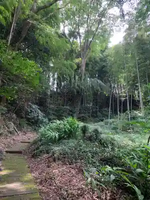 宇賀神社(千葉県)