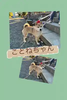 豊景神社(福島県)