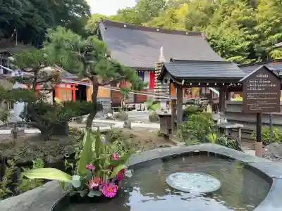 妙圓寺(神奈川県)