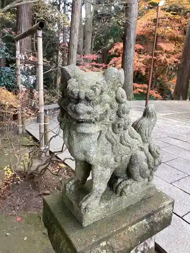 中尊寺の狛犬