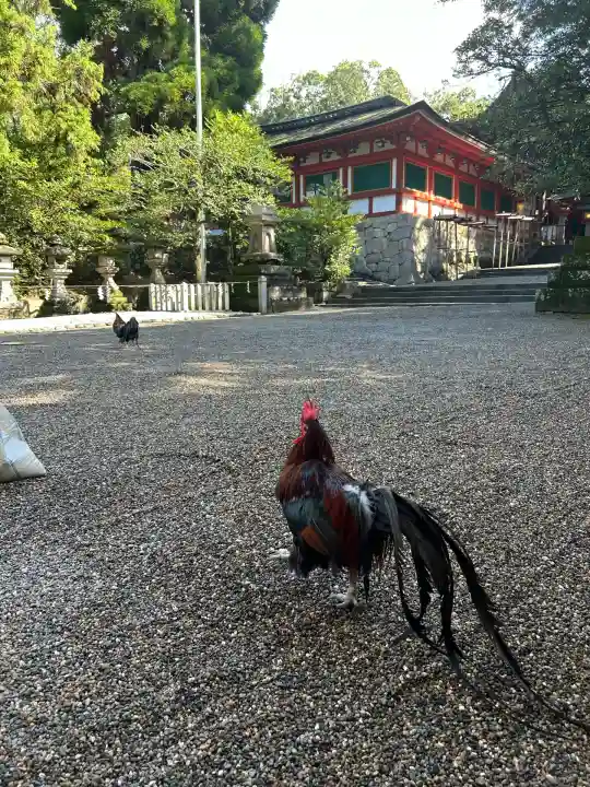 石上神宮(奈良県)