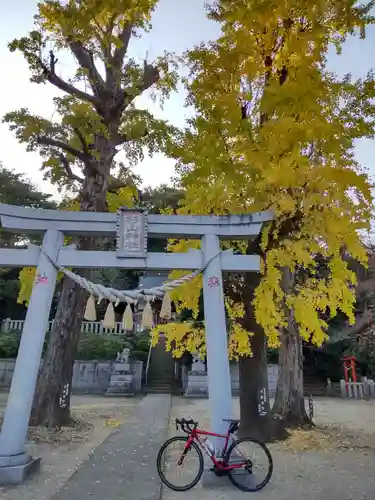 杉山神社の鳥居