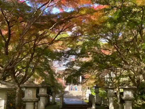 高山寺(兵庫県)