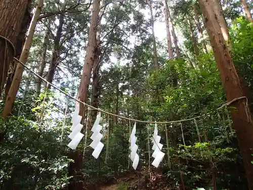 太平山神社の自然