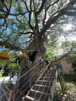 山王神社(長崎県)